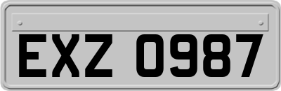 EXZ0987