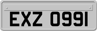 EXZ0991