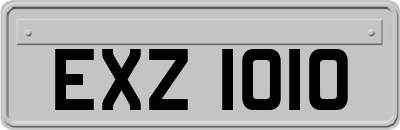 EXZ1010