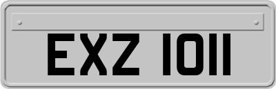 EXZ1011