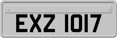 EXZ1017