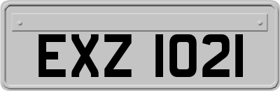 EXZ1021