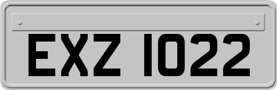 EXZ1022