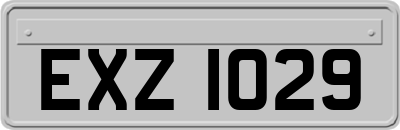 EXZ1029