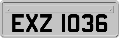 EXZ1036