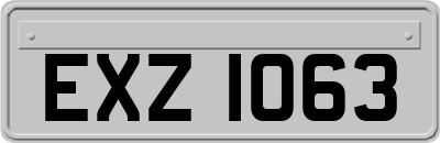 EXZ1063