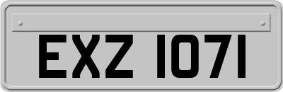 EXZ1071