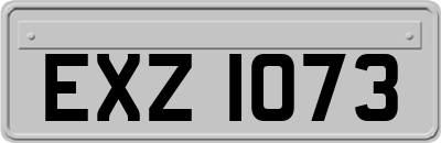 EXZ1073