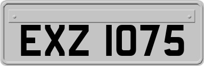 EXZ1075