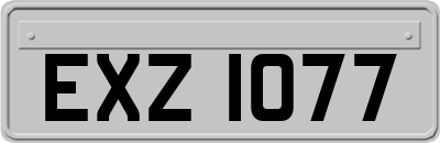 EXZ1077