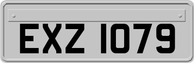 EXZ1079