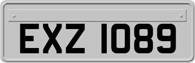 EXZ1089