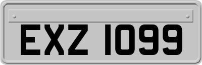 EXZ1099