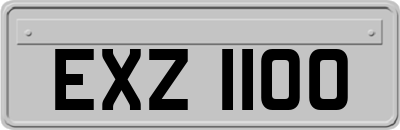 EXZ1100