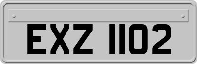 EXZ1102