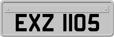 EXZ1105