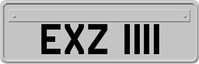 EXZ1111