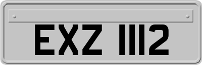 EXZ1112