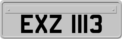 EXZ1113