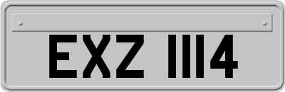 EXZ1114