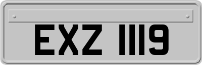 EXZ1119