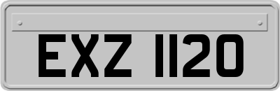 EXZ1120
