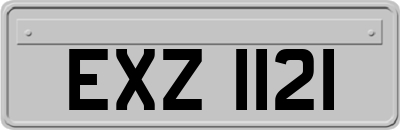 EXZ1121