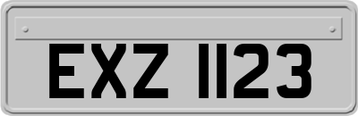 EXZ1123