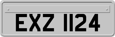 EXZ1124