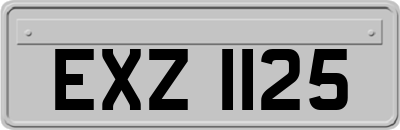 EXZ1125