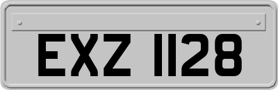 EXZ1128