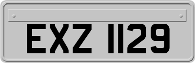 EXZ1129