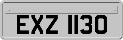 EXZ1130