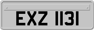 EXZ1131