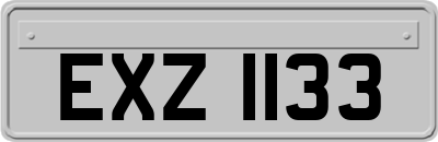 EXZ1133