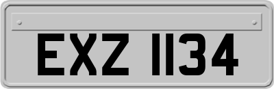 EXZ1134