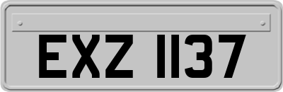 EXZ1137