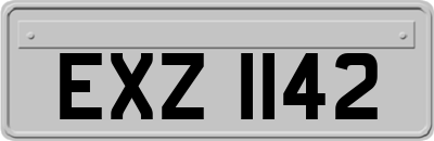 EXZ1142
