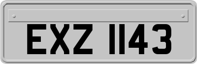EXZ1143