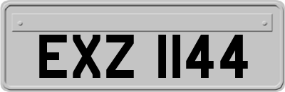 EXZ1144