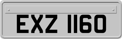 EXZ1160