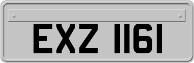 EXZ1161