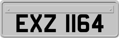 EXZ1164