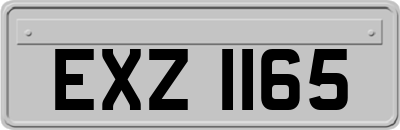 EXZ1165