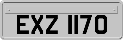 EXZ1170