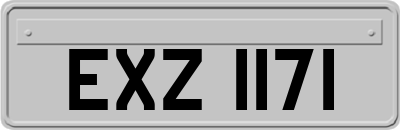 EXZ1171