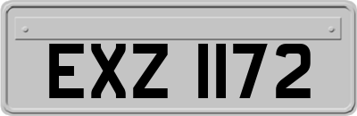 EXZ1172