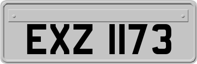 EXZ1173