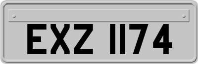 EXZ1174