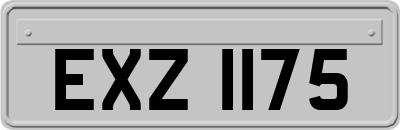 EXZ1175